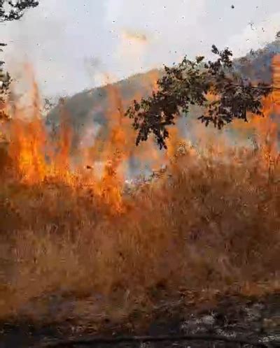 Hutan Tn Gunung Ciremai Kembali Terbakar Matapantura