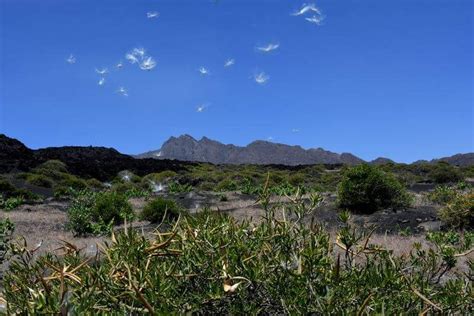 Volcanoes & Mountains | Walking in Cape Verde