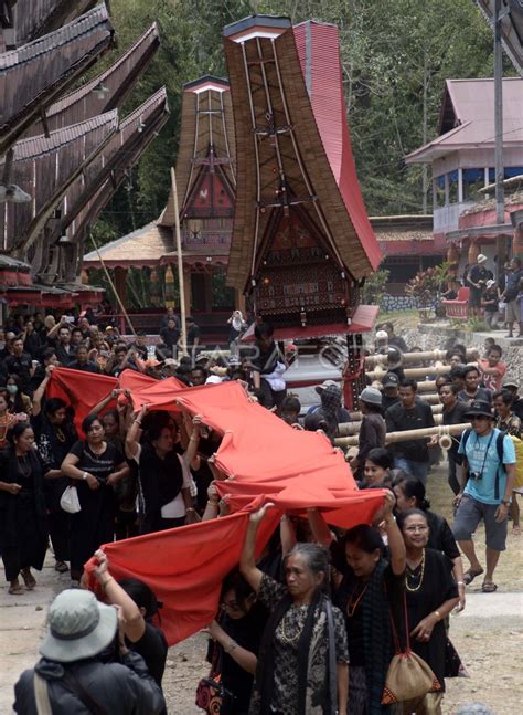Prosesi Upacara Kematian Rambu Solo Antara Foto