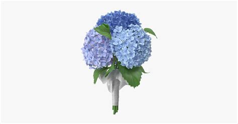 Hydrangeas - Bouquet