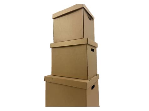 DSN Advanced Technology Carton Box Moving Box