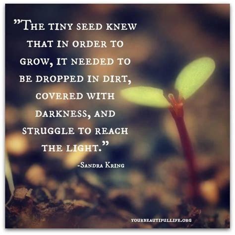 Inspirational Quotes About Seeds. QuotesGram