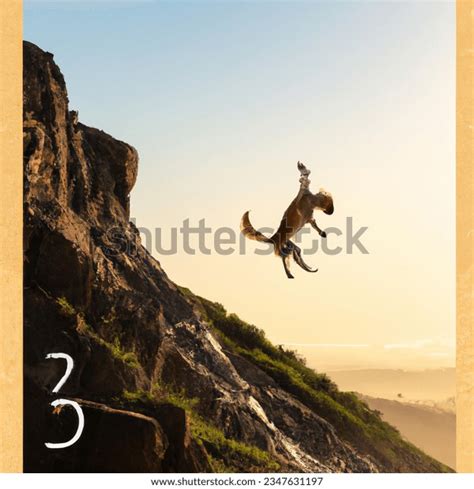 Advertising Product Photo Meme Dog Jumping AI-generated image 2347631197 | Shutterstock