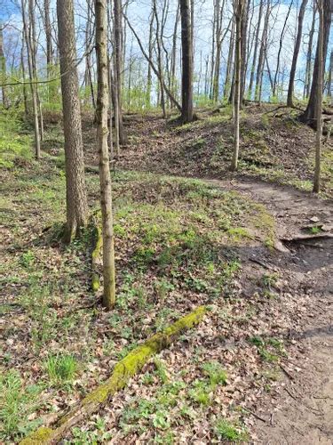 Best Trail Running Trails In Pekin Alltrails