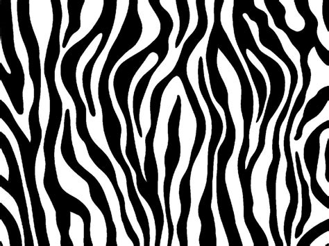 Zebra Pattern Vector at Vectorified.com | Collection of Zebra Pattern ...