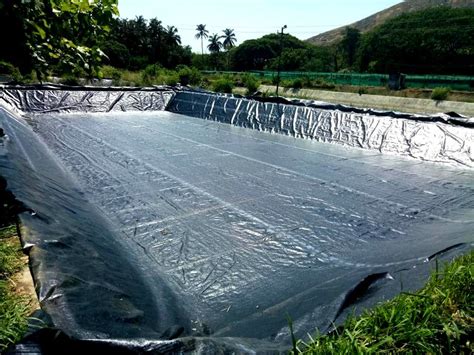 Pvc Fish Pond Tarpaulin At ₹ 14square Feet In Kochi Id 23138677697