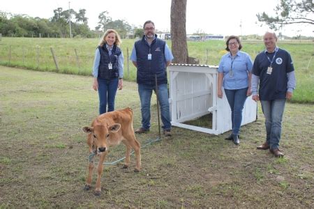 Realiza O Do Dia De Campo Do Leite Atrav S Do Programa Leite