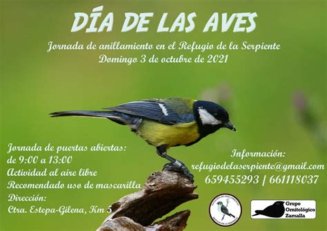 DÍa Mundial De Las Aves