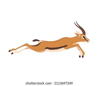 Wild Gazelle Running Vector Illustration Isolated Stock Vector (Royalty ...