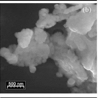 Scanning electron micrographs of powders Yb-REPT... | Download ... 