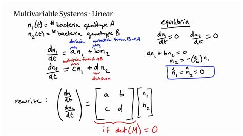 Differential Equation Modeling Youtube