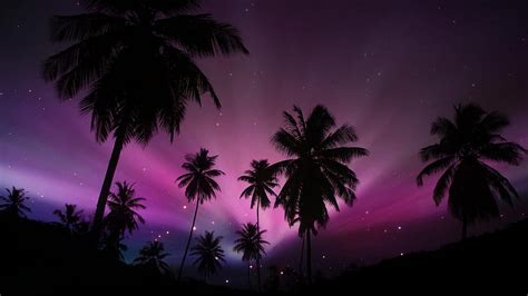 Tropical Purple Sunset Background Purple Palm Tree HD Wallpaper