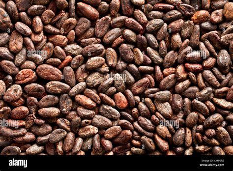 Cocoa Beans Hi Res Stock Photography And Images Alamy