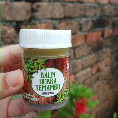 Losyen Balm Sabun Semambu Neem Kulit Gatal Ekzema Chicken Pox