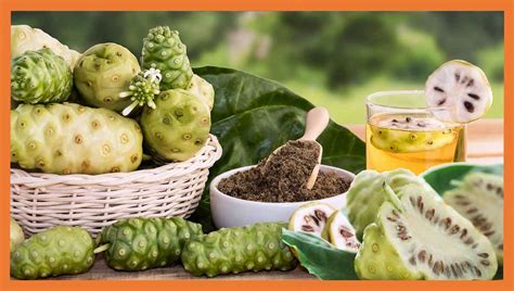 Noni Propiedades Beneficios Y Valor Nutricional