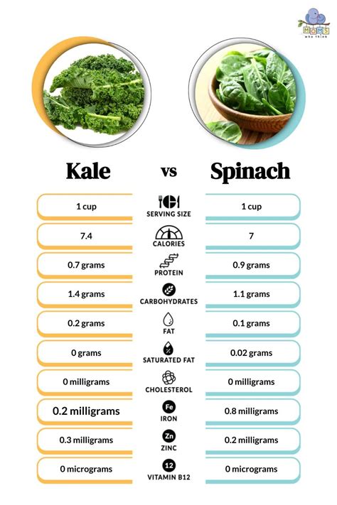 Kale Vs Spinach Key Differences And Nutritional Breakdown