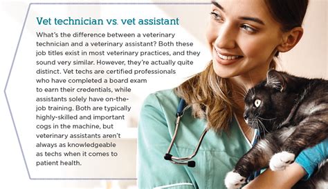 What Does A Vet Tech Do Collegelearners