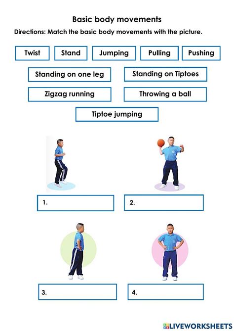 Basic Body Movements Worksheet Live Worksheets