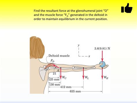 Solved Find The Resultant Force At The Glenohumeral Joint