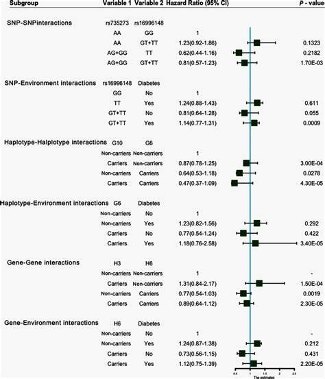 Snp Snp Snp Environment Haplotype Haplotype Haplotype Environment