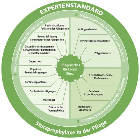 Sturzprophylaxe In Der Pflege Fortbildungvorort Bildungsinstitut