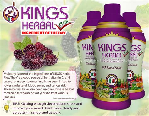 Kings Herbal Plus Food Supplement Fruits Herbs And Vegetables Fusion 100