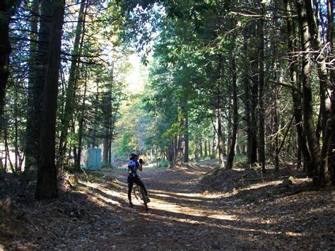 Paradise Lake Mountain Bike Trail In Magalia California Directions