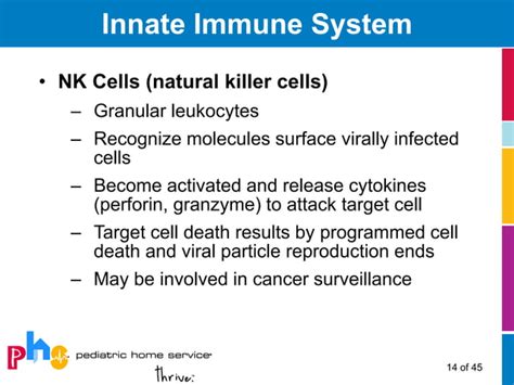 Immunodeficiency Syndromes Part One Primer On Immunology