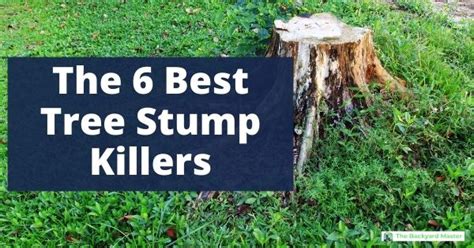 The Best Stump Killer: 6 Products to Remove Tree Stumps Fast - The Backyard Master