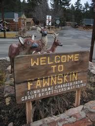 Things To Do In Big Bear Lake, CA: Cabins In Fawnskin