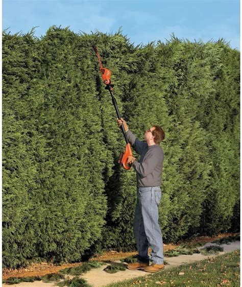 BLACK DECKER 20V MAX POWERCONNECT 18 In Cordless Pole Hedge Trimmer