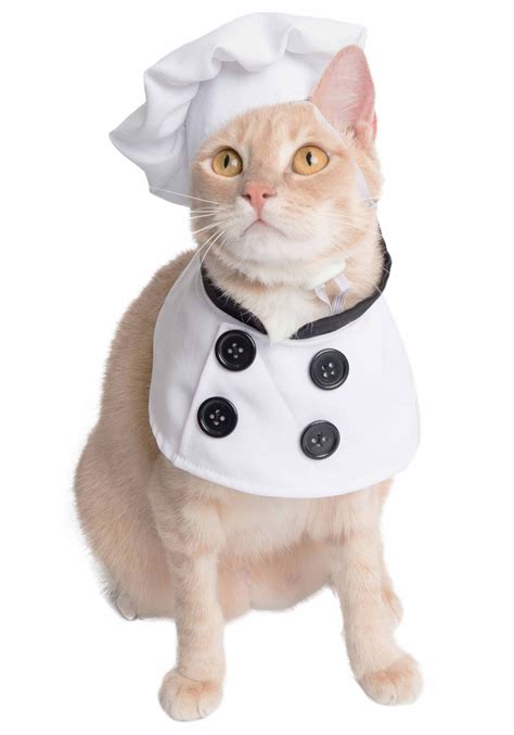 Pet Chef Costume