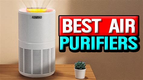 Top 5 Air Purifiers In 2024 👌 Youtube