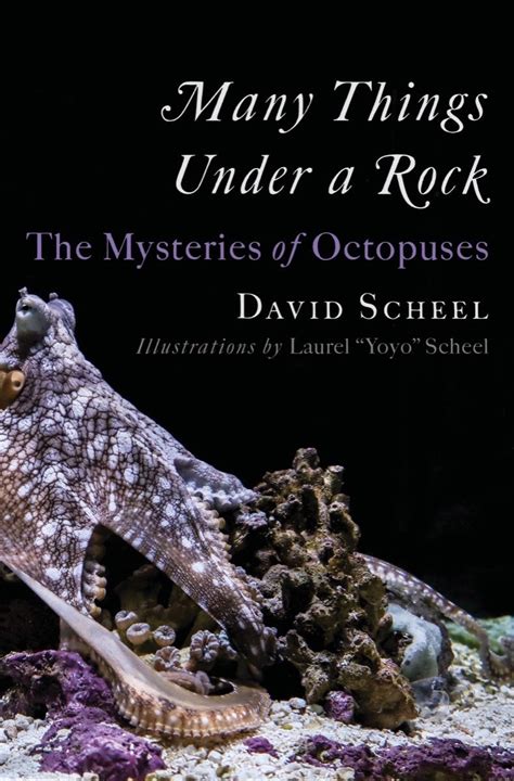 Many Things Under A Rock The Mysteries Of Octopuses By David Scheel