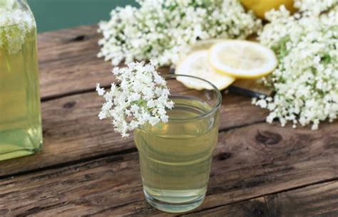 Kako Se Pravi Sok Od Zove Najstariji Recept Za Najukusniji Sirup Koji