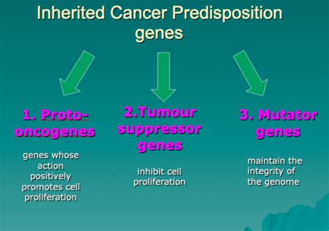 Altered Cellular Proliferation And Differentiation Flashcards Quizlet