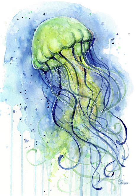 Jellyfish Watercolor By Olga Shvartsur