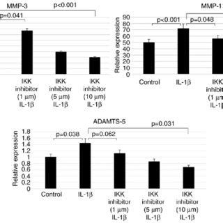 Pdf Downregulation Of Aquaporin Decreases Catabolic Factor