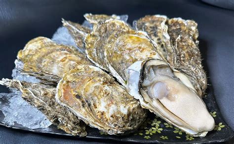 【楽天市場】【ふるさと納税】訳あり 北海道 厚岸産 殻付き 牡蠣 350g 魚貝類 生牡蠣 海の幸 海鮮 オイスター 濃厚な甘み グルメ