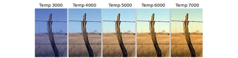 White Balance According To Color Temperature Download Scientific Diagram