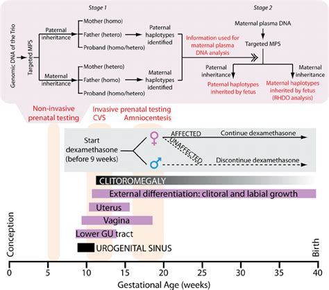 Conventional Prenatal Management And Targeted Massively Parallel