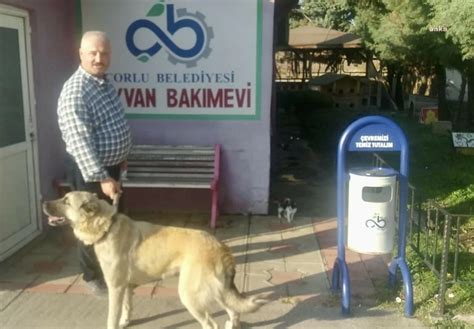 Sahipsiz Sokak Hayvanları Çorlu Belediyesi Geçici Hayvan Bakımevi nde