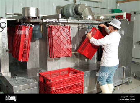 Egg Incubation Process Hi Res Stock Photography And Images Alamy