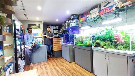 Most Beautiful Planted Aquarium Fish Store In Navi Mumbai Aqua