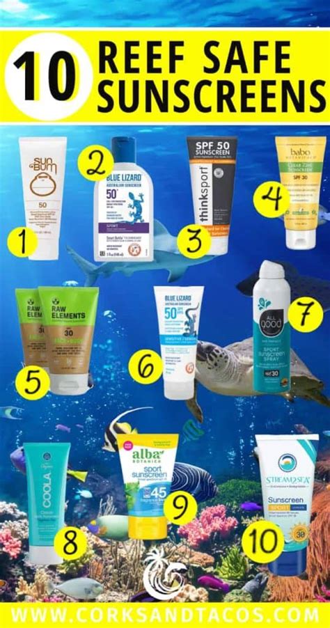 A Guide To Reef Safe Sunscreen And Top 10 Brands