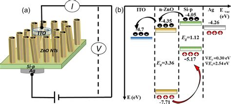 Figure 6 From A Photodetector Based On P Si N ZnO Nanotube