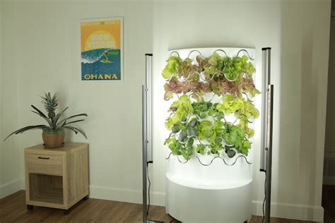 Diy Indoor Hydroponics System Tutorial Hidroponik