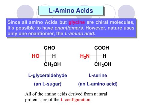 Ppt Chapter 1 Structures And Functions Of Proteins Powerpoint Presentation Id9345932