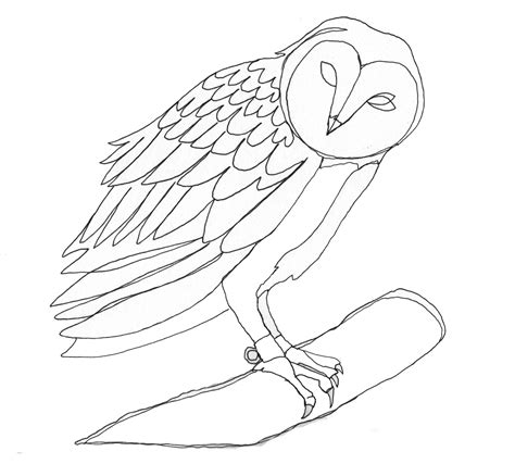 Barn Owl Line Drawing Owls Drawing