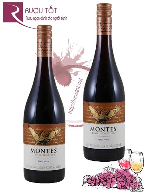 Giá sale 1đ Rượu vang Chile Montes Purple Angel 1500ml Nhập khẩu